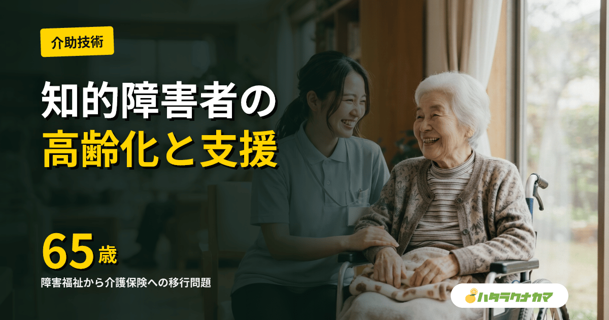知的障害のある高齢者の介護|早期老化・ダウン症の認知症・65歳問題と支援の工夫