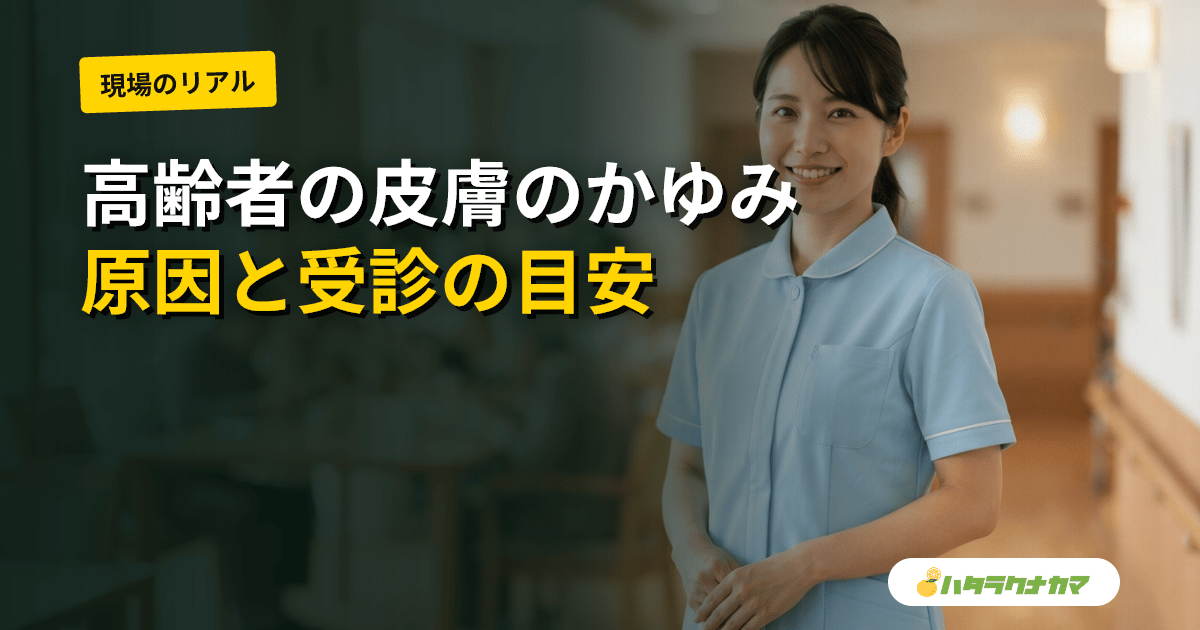 高齢者の湿疹・皮膚のかゆみ・発疹｜原因と家庭でのケア・受診の目安