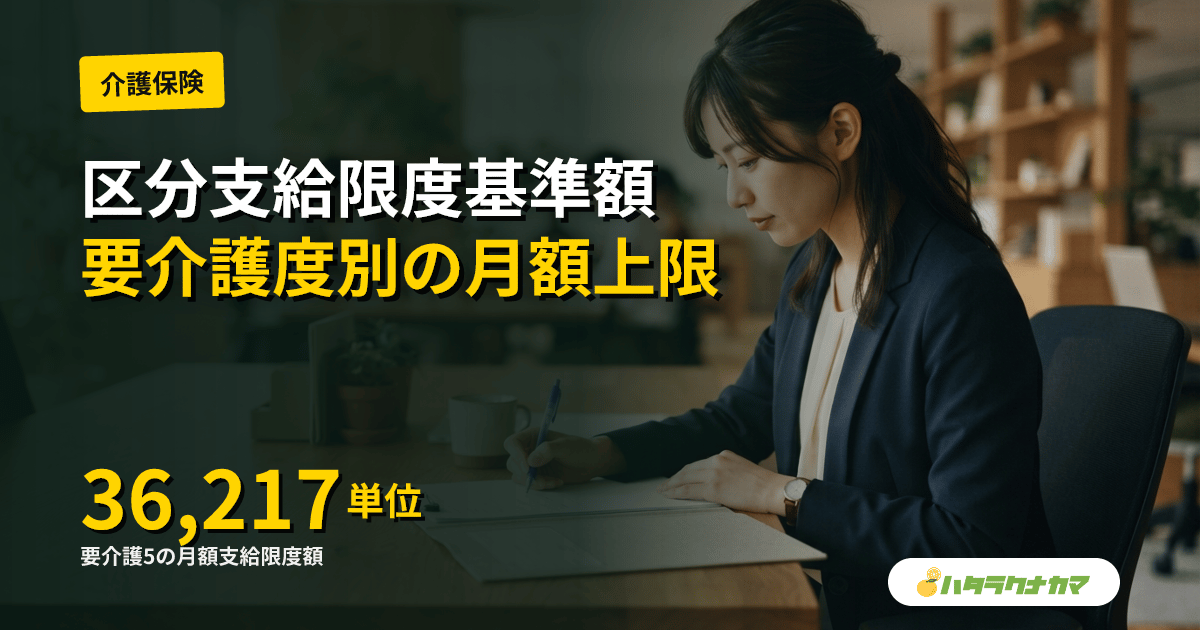区分支給限度基準額とは