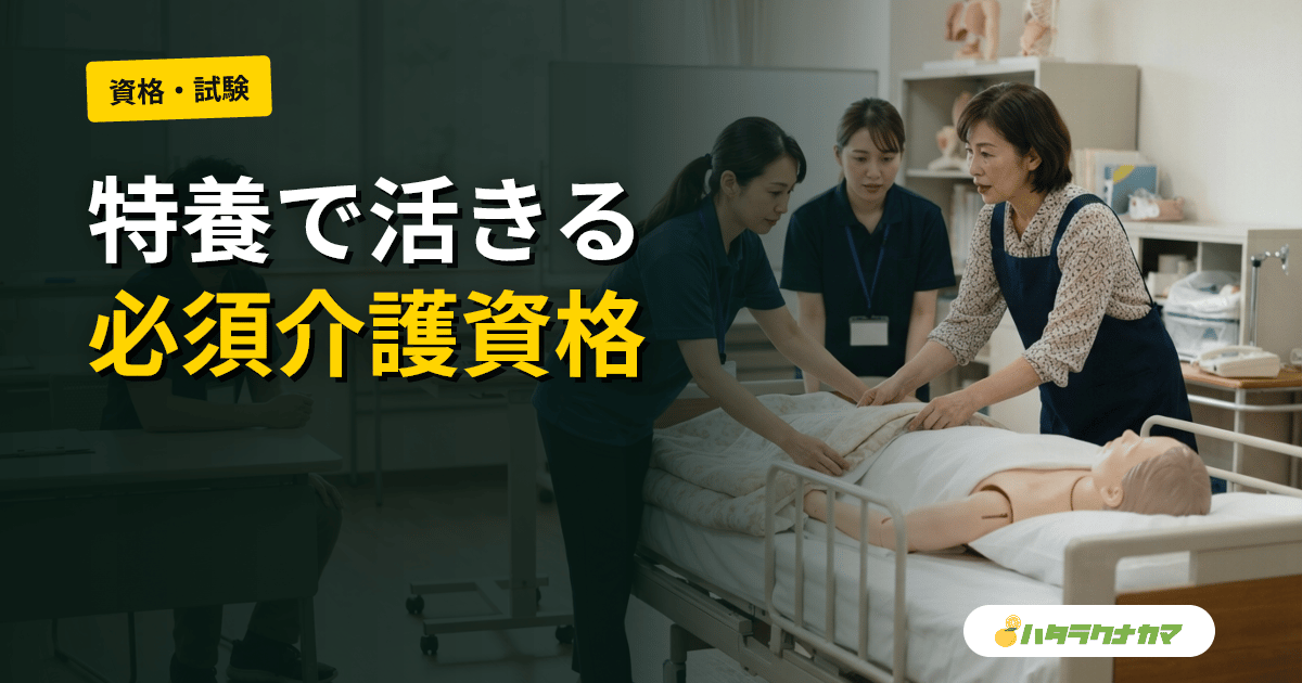 特養で活かせる介護資格マップ|必須・推奨・キャリアアップ別に整理